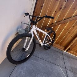 SE Big Flyer Oreo 29”
