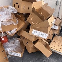 Free Cardboard 