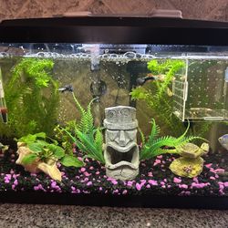 5.5 Gallon Fish Tank For Sale 50 Or Best Offer!
