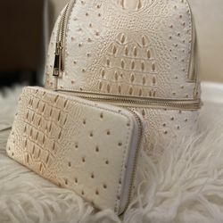 Purse Backpack 
