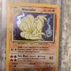 Stage 1 Halo   Old  Pokomon   Card Collection  Rare  But Productive  ,