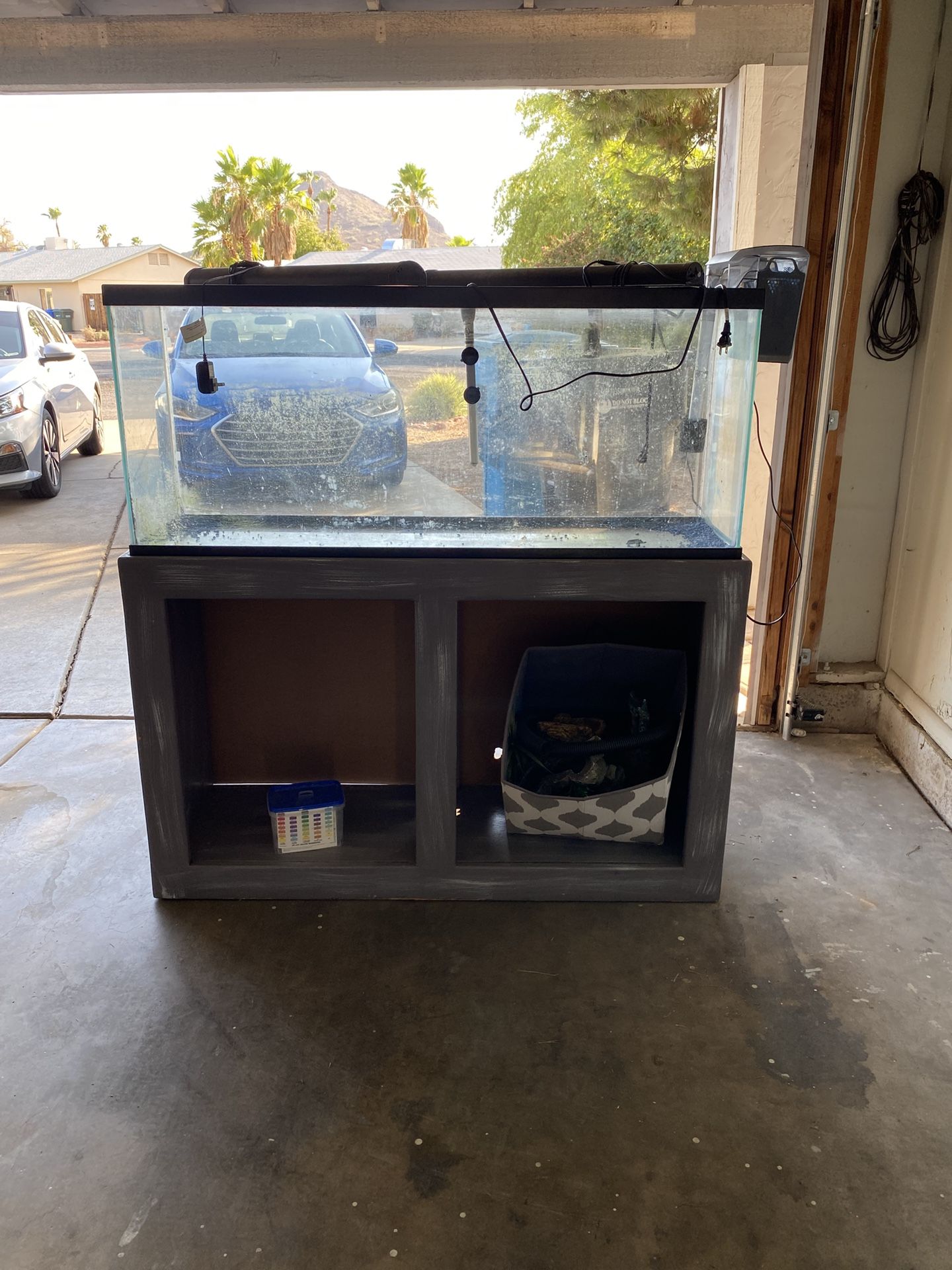 55 Gallon Fish Tank
