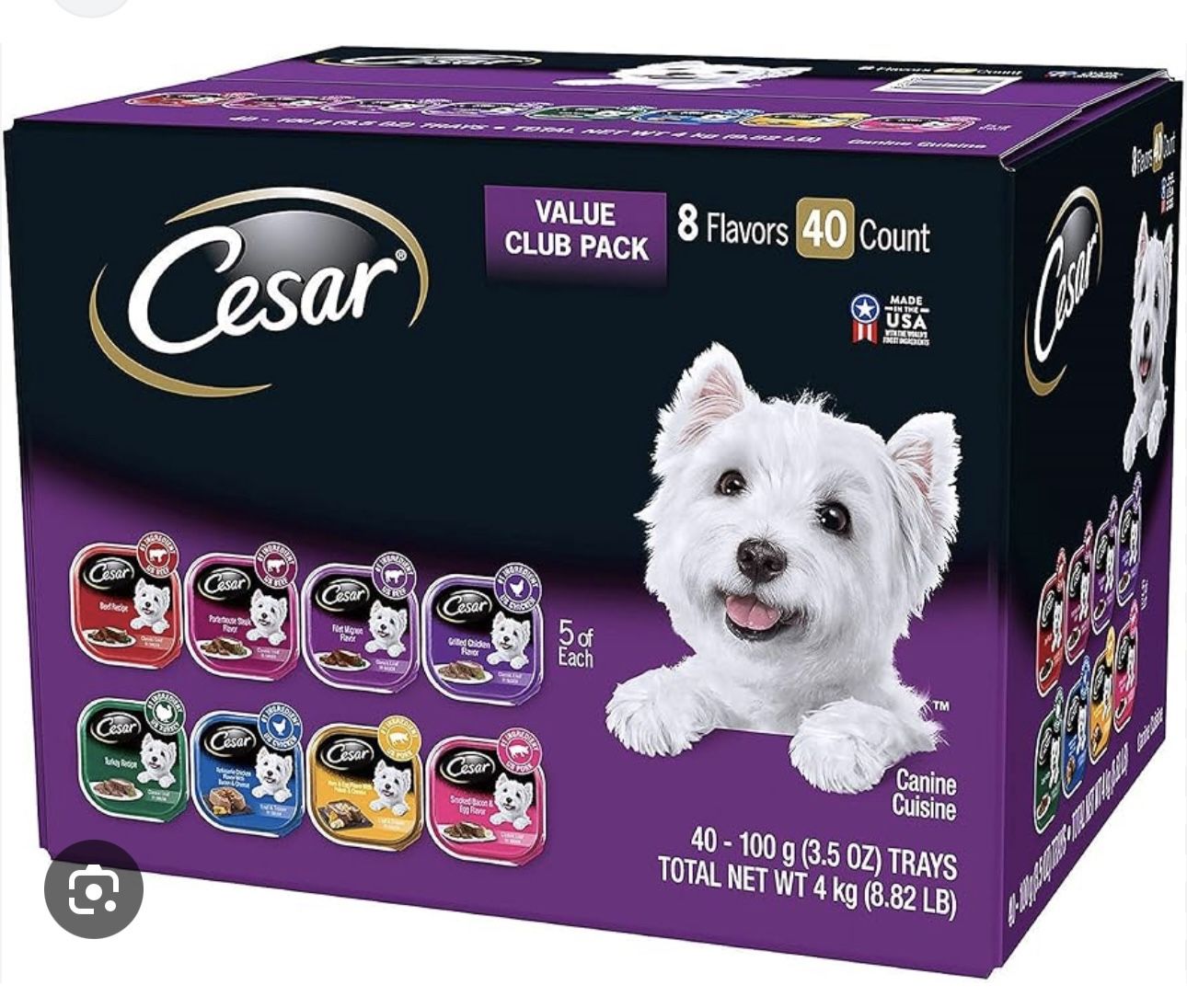 Perro/ Comida Gratis