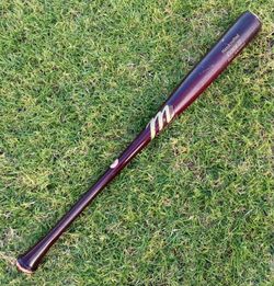 Marucci pro maple 31” baseball bat