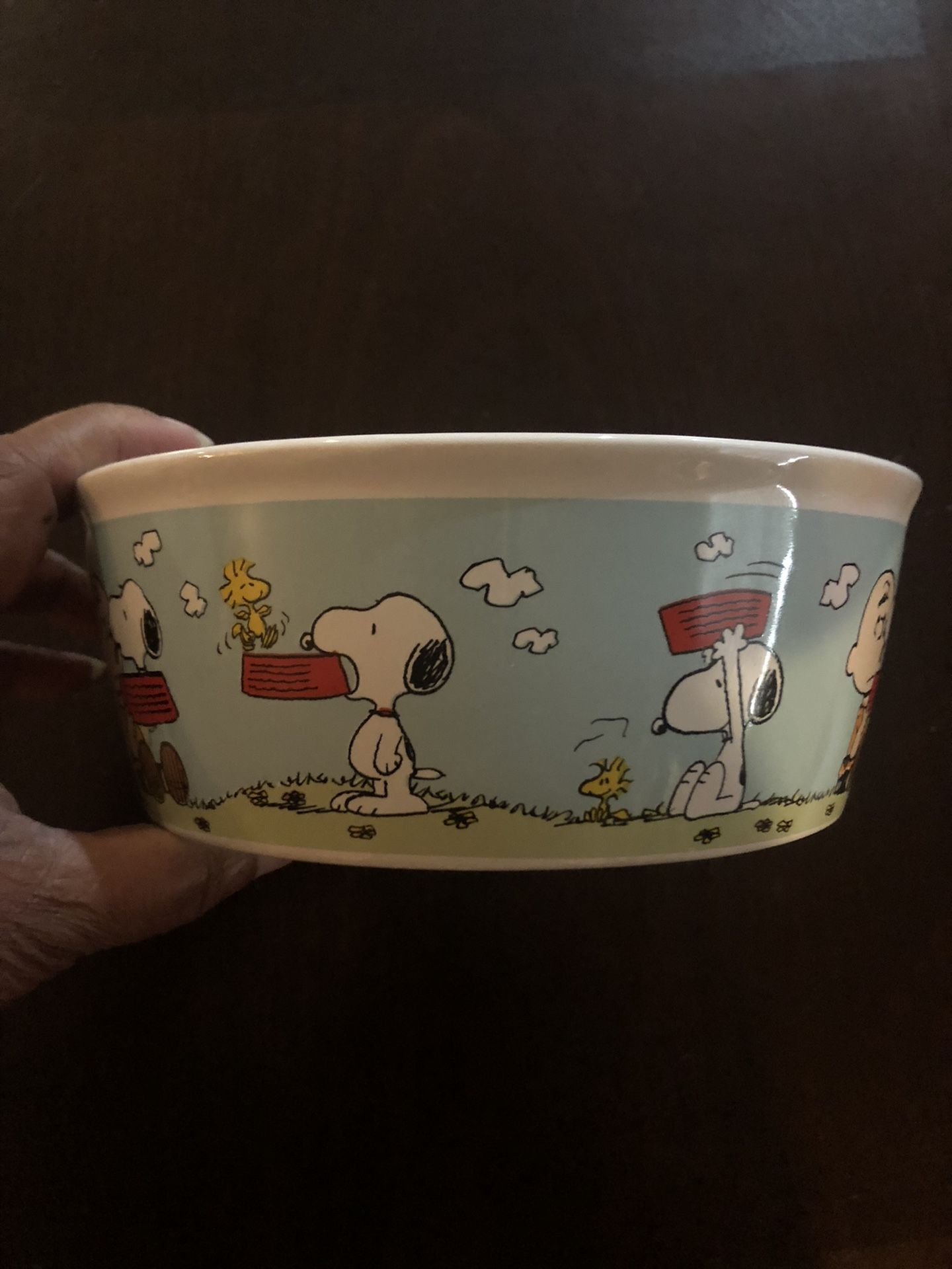 Peanuts Snoopy Ceramic Dog Bowl Dish GIBSON Charlie Brown Woodstock 