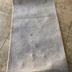 New Rug