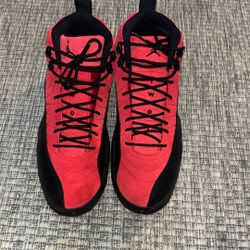 Jordan 12 Reverse Flu Game 