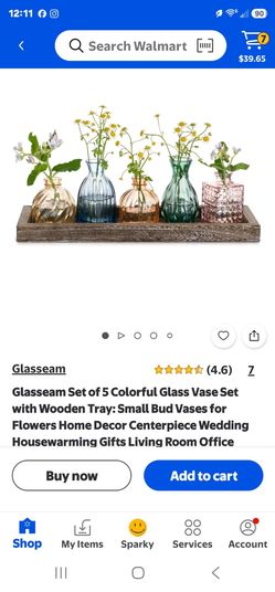 Glasseam Set of 5 Glass Bud Vases