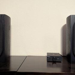 Pioneer SP-BS22-LR Andrew Jones Bookshelf Speakers – Excellent Condition – Poway