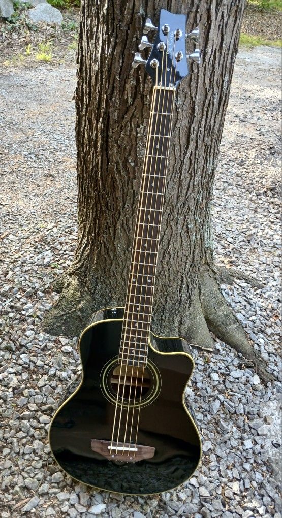 Brand New 5 String Acoustic Electric Bass Guitar