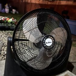 Medium Size Fan 