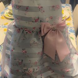 Rare Edition Designer Size 5 Girl Dress ( little Girls)