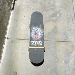 Skate Board