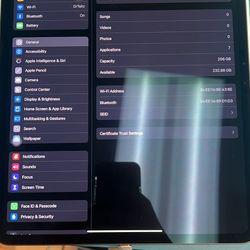 iPad Pro 13-inch M4 256gb WiFi