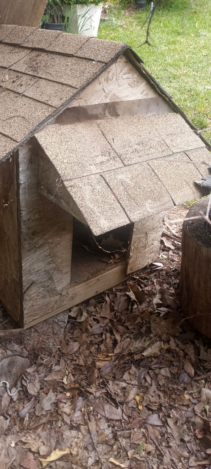 Dog House. For Small To Medium Dog. 