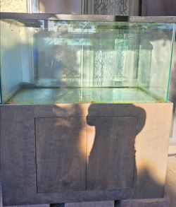 Fish Tank and Stand