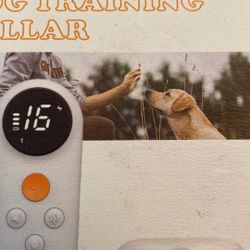 Dog Training Collar 