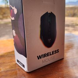 Wireless RGBIC GAMING MOUSE!