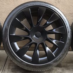 Tesla Model Y 20” Induction Wheel