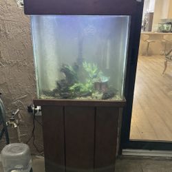 Acuario Pecera 