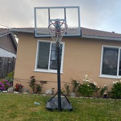 Basketball Court