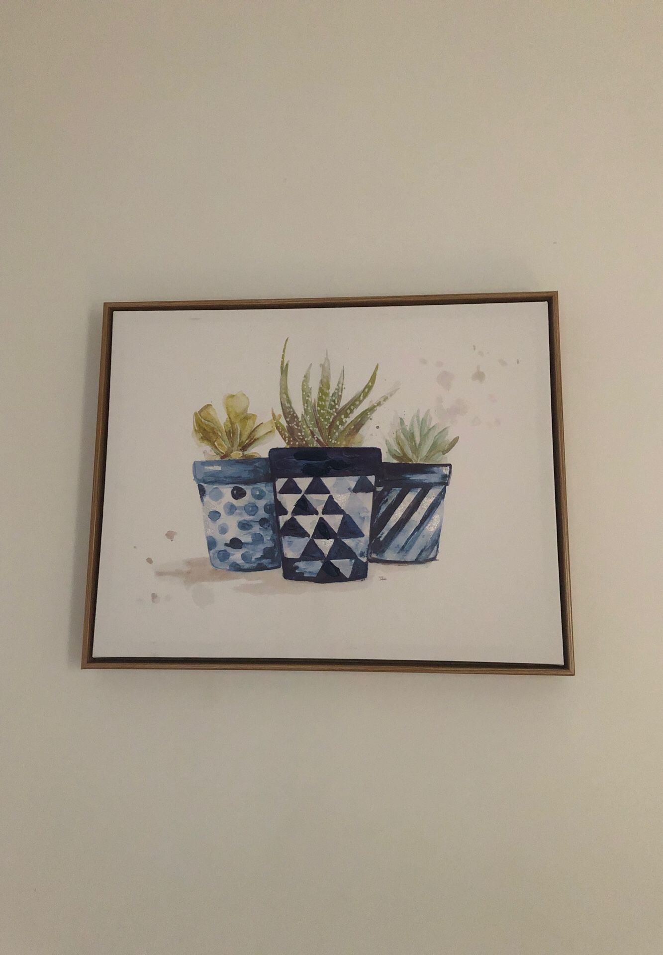 Succulent photo wall art