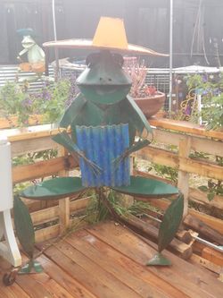 Outdoor mariachi frogs