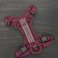 Wilder dog Harness 