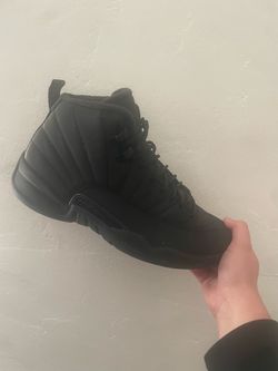 Jordan 12 winters
