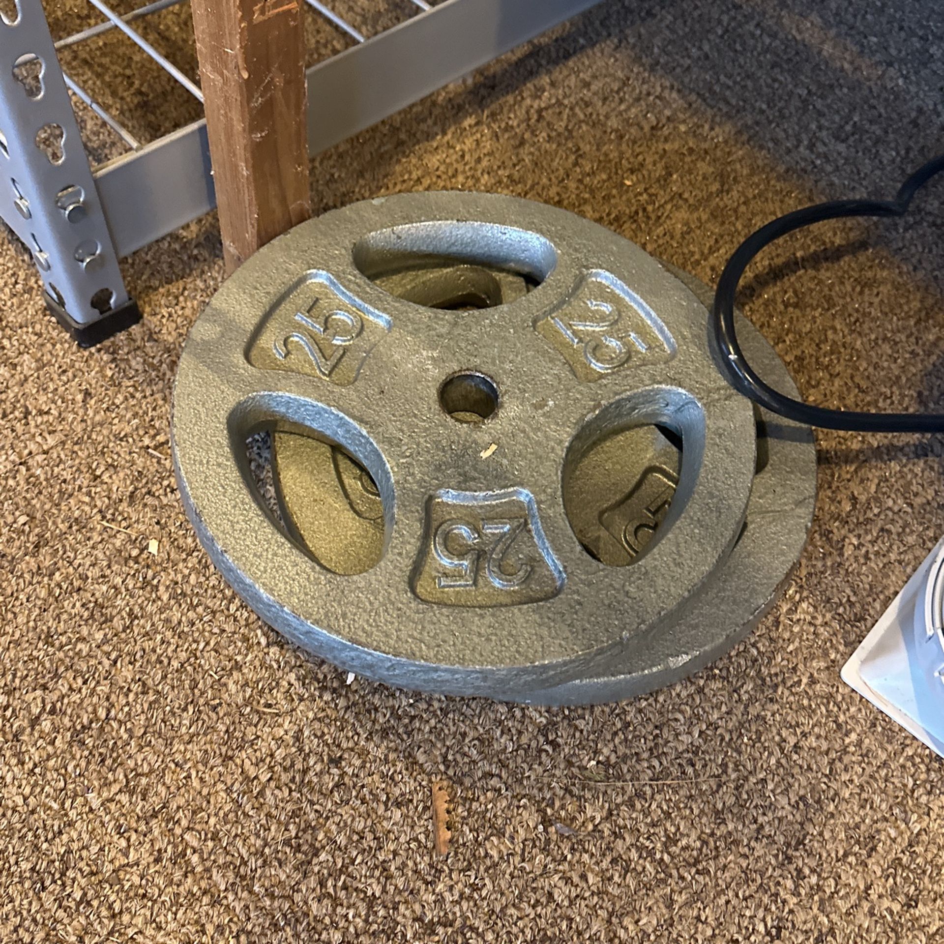 1 In 25lbs Cast Iron Weight Plate Set Of 2