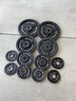 Olympic Weights 250LB Set