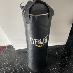 Everlast punching bag 