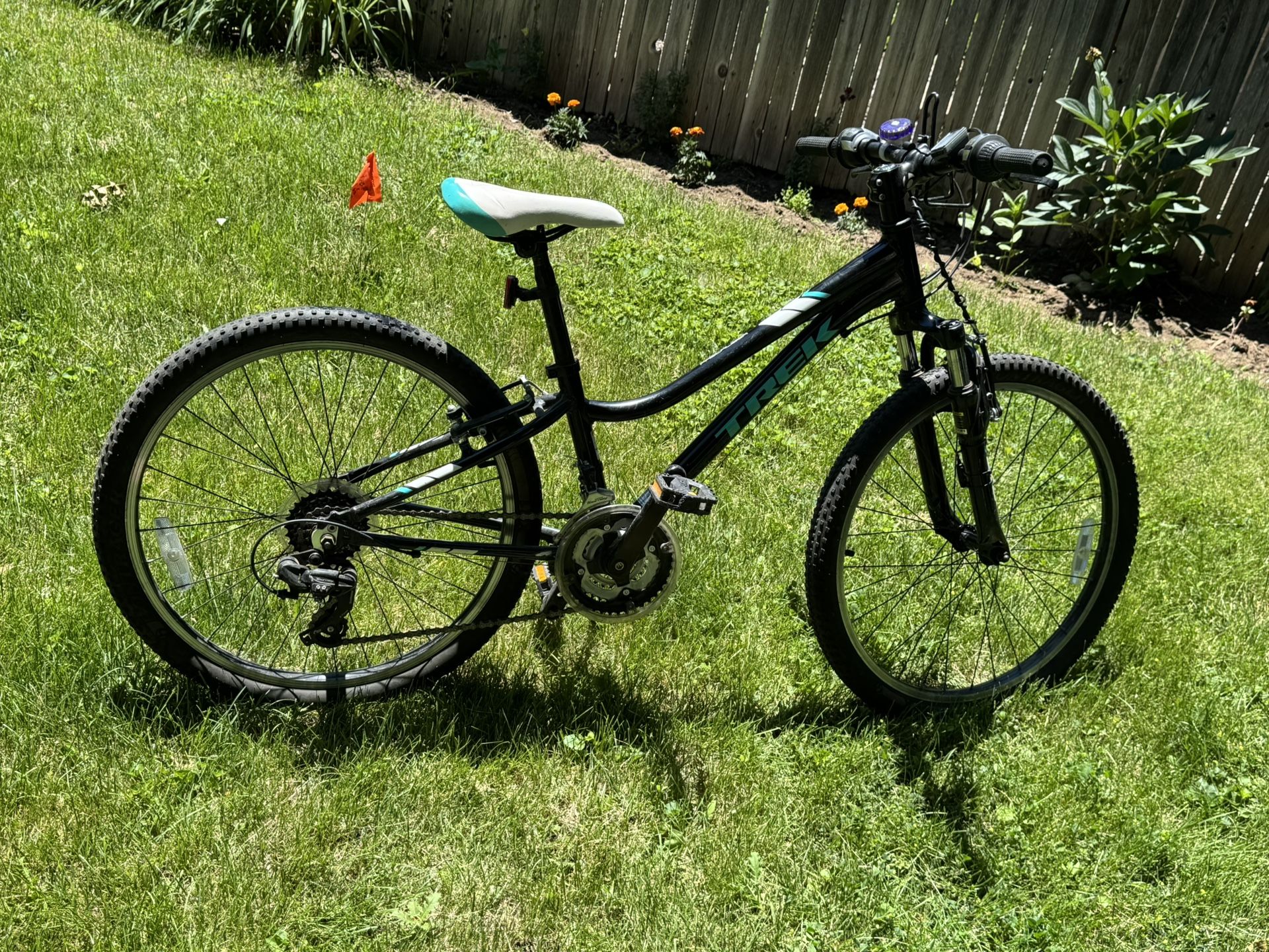 Kids/Young adult Trek Precaliber mountain bicycle 24 inch, 21 speed