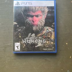 Black Myth Wukong 