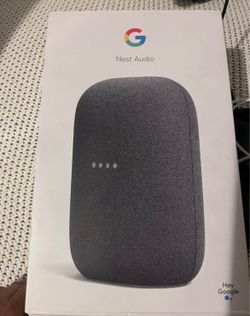 Google nest speaker