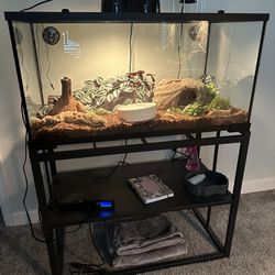 40 Gallon Tank and Stand