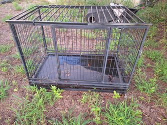 Dogs Cage
