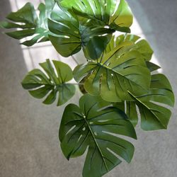 Monstera Leaf Arrangement in Ceramic Pot