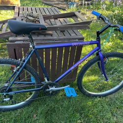 Specialized Rockhopper - Purple/Blue Fade