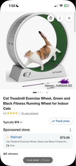 Cat wheel