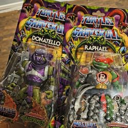 Turtles of Greayskull 