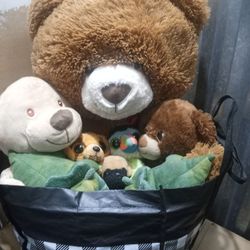 Stuffed Animals 
