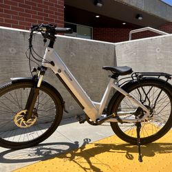 TST Defender F6222 Step-Thru E-Bike