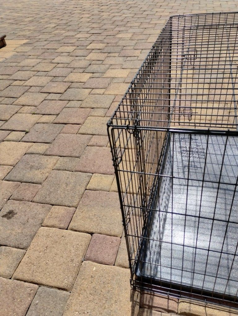 A Brand New Dog Cage
