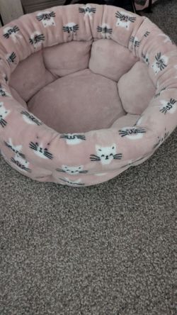 Cat accessories
