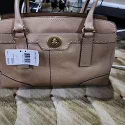 Ladies Purse