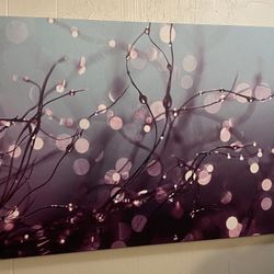 Nice Painted Canvas Picture