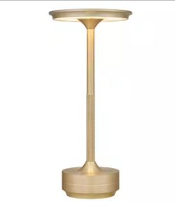 DSI Lighting Indoor/Outdoor LED Table Lamp