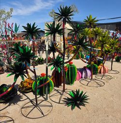 Bold Desert Style🌵Cactus, Flowers & Pots 
🌺Yuccas , Ocotillos, Metal Yard art