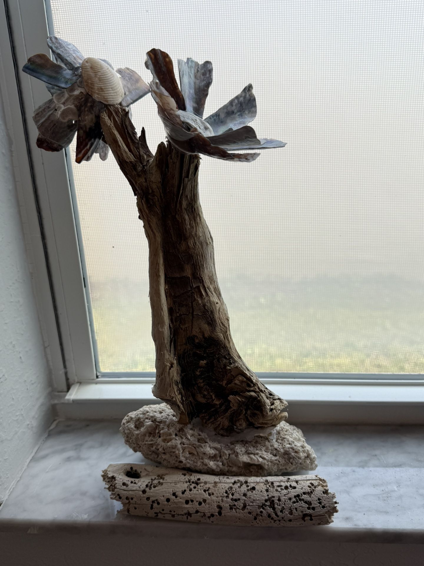 Infinity drift and shell tree